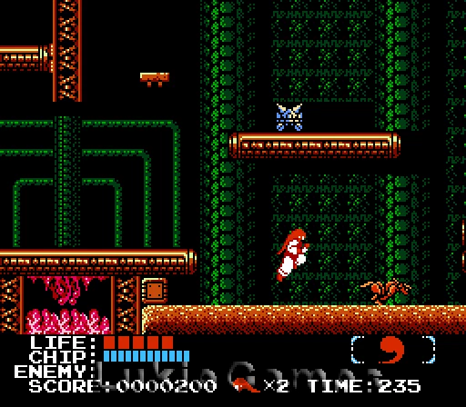 Quantum 2024 fighter nes