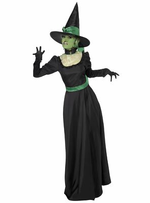 Grüne Hexe - Karneval Faschingskostüm Damen - Die klassische Wicked Witch of the