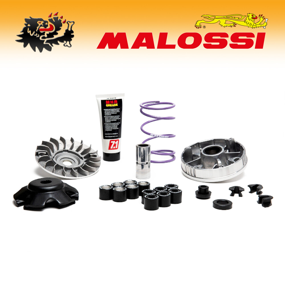 MALOSSI Variomatik Muvar 2000 NRG 50 Mc² Extreme AC – Für Verschiedene 50ccm Roller