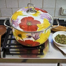 Pioneer Woman 4 Qt Floral Garden Enameled Stock Pot 9" x 5" With Lid Retired