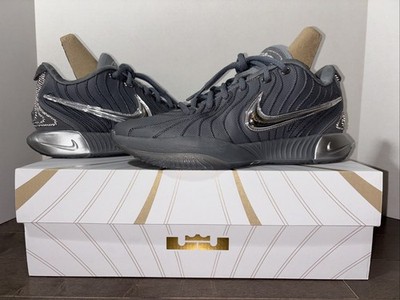 Nike LeBron 21 Men s Size 9 Resilience  Cool Gray Metallic Silver
