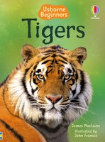 Tigers | James Maclaine | Englisch | Buch | Beginners | Gebunden | 2012