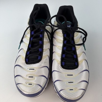 Nike Air Max Plus  Grape Ice  (DM0032-100) Mens Size 9.5