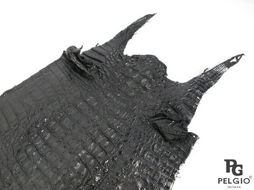 PELGIO Genuine Crocodile Caiman Skin Leather Soft Hide Pelt Black Grade A - Picture 2 of 4