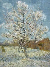 9410.Decoration Poster.Home Room wall design.Peach tree by Van Gogh painting