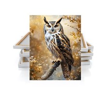 11x14 Gilded Owl Canvas Print Wall Art