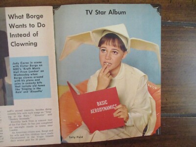 8/1969 Detroit News TV Mag(THE FLYING NUN/DAWN LYN/MY THREE SONS/BEVERLY GARLAND