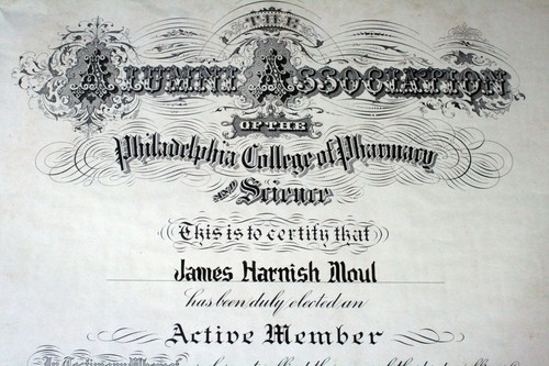 Vintage College Diploma 1955 Philadelphia College of Pharmacy and Science Large - Bild 3 von 7