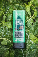 New Mint and Tea Tree Shower Gel 6X250Ml a Shower Gel Multipack Wi Fast Shippin 6.47 per litre