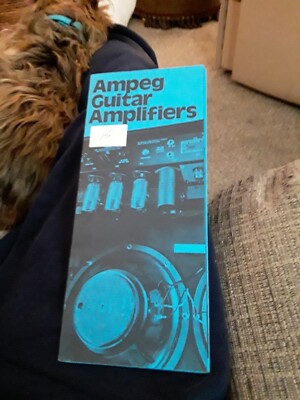 Ampeg Amplifiers #COOL# 