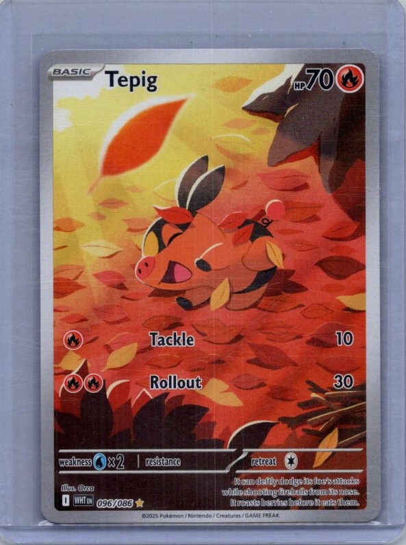Tepig - Holo Illustration Rare SV: White Flare WHT 096/086