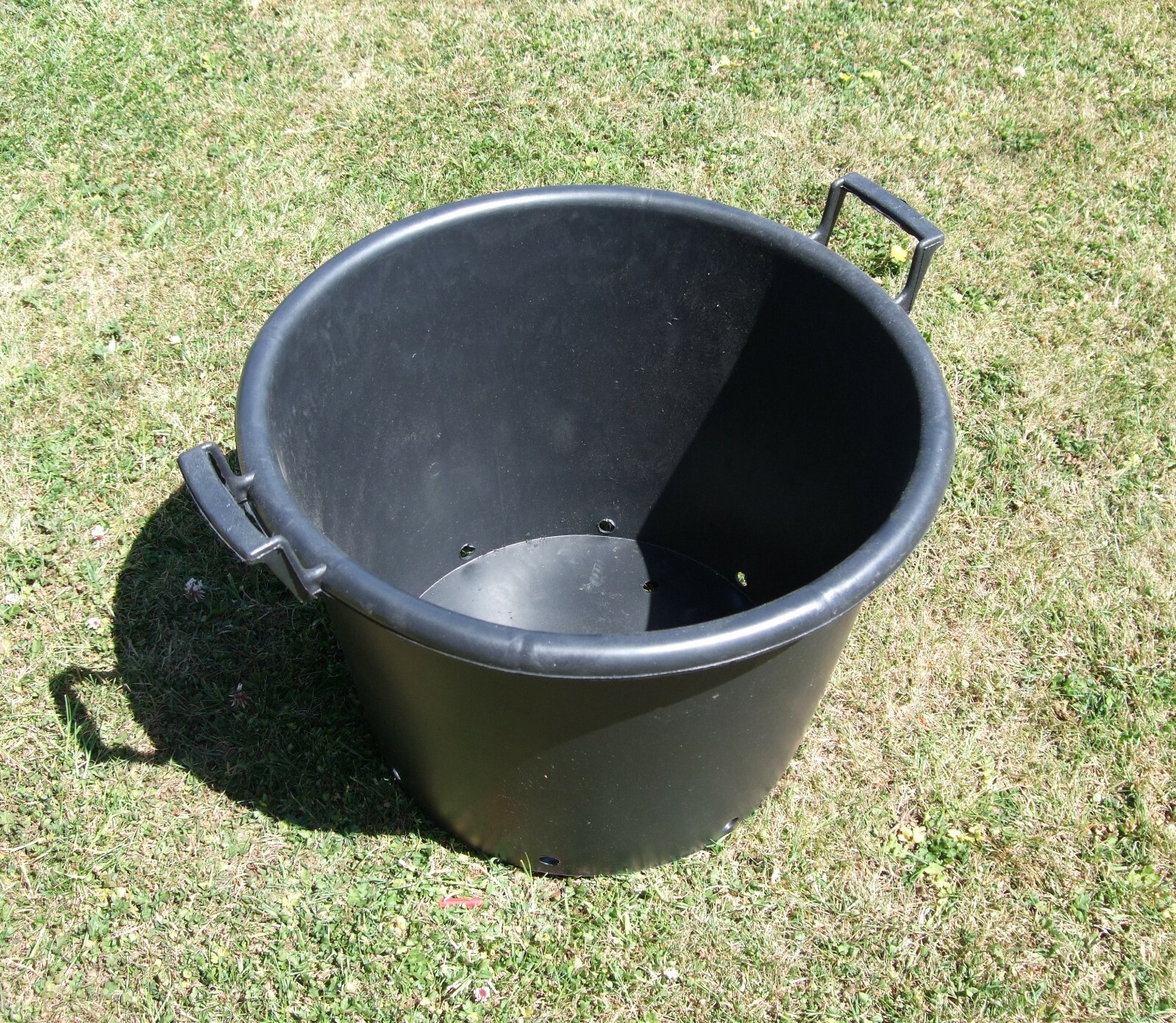 Picture 5 of 5