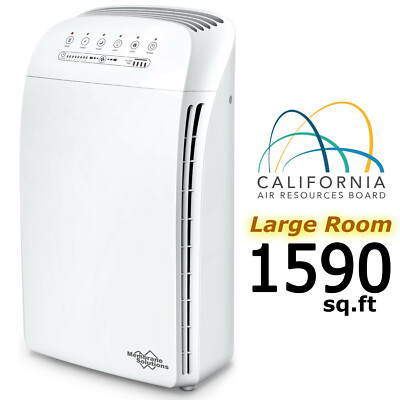 True HEPA Air Purifier Large Room for Allergies Smoker Dust Pet Home Air Filters