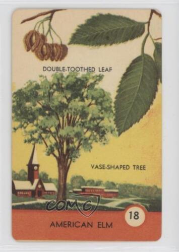 1962 Ed-U-Cards cartes d'observation d'arbres orme américain #18 0e2x - Photo 1 sur 3