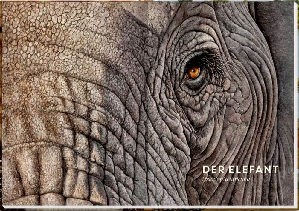 Thumbnail - Lebensgroß - Wilde Tiere Afrikas