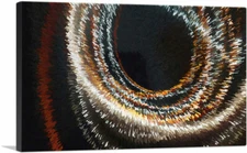 ARTCANVAS Maroon Tan and White Circles Modern Canvas Art Print