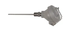 RTD PROBE 18 INCH BLAZE 1/4” SENSOR OD Rtd Probe,100 Ohm,6In,.25In Sheath