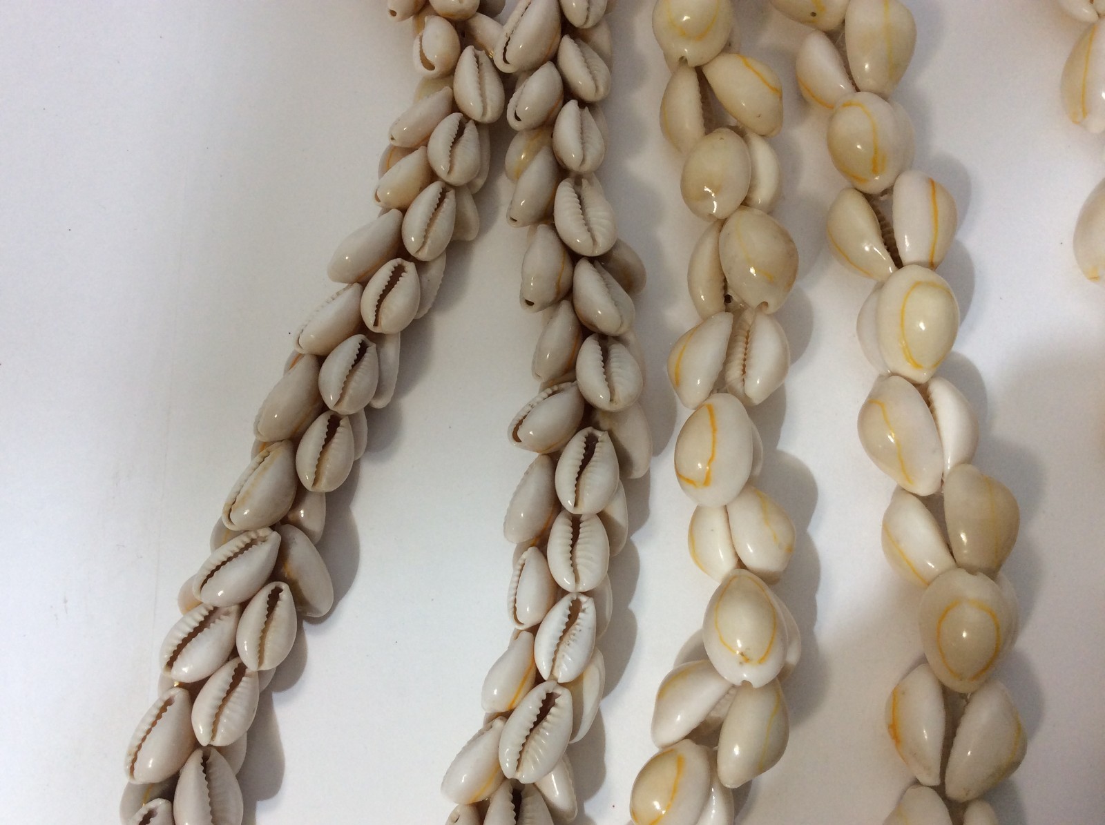 Five Large Seashell Necklaces - image 3