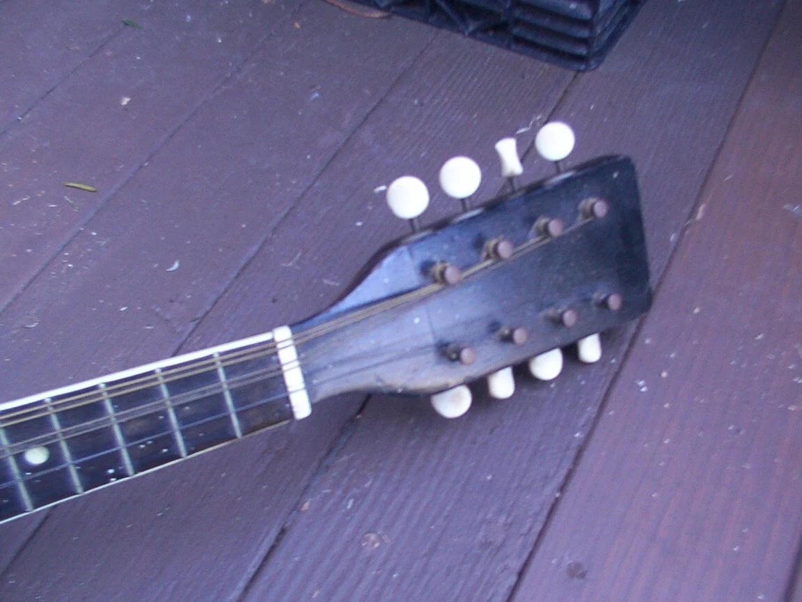 Picture 3 of 11