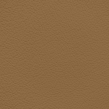 Mercedes Palomino Leather Dye