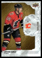 2019-20 Upper Deck Engrained Jarome Iginla 049/299 Calgary Flames #36