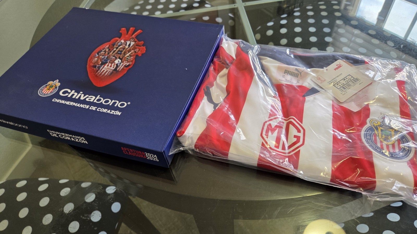 Chivas Guadalajara Puma  Mexico Striped Soccer Jersey Apertura 2024/2025