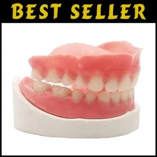 DIY Custom Denture Kit for Perfect Smile