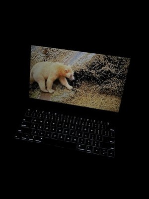 Apple MacBook Air 2019 13.3'' (256GB SSD, Intel Core i5 8th Gen., 1.40GHz, 8GB)
