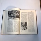 Picture 16 of 24
