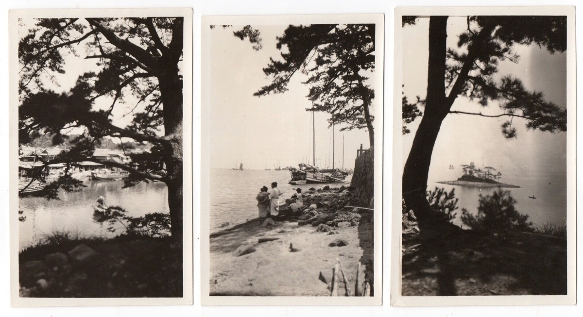 Photo Vintage Intérieur Bourgeois - Tirage Argentique D'époque Vers 1900 - Format 12,5x17,5 Cm