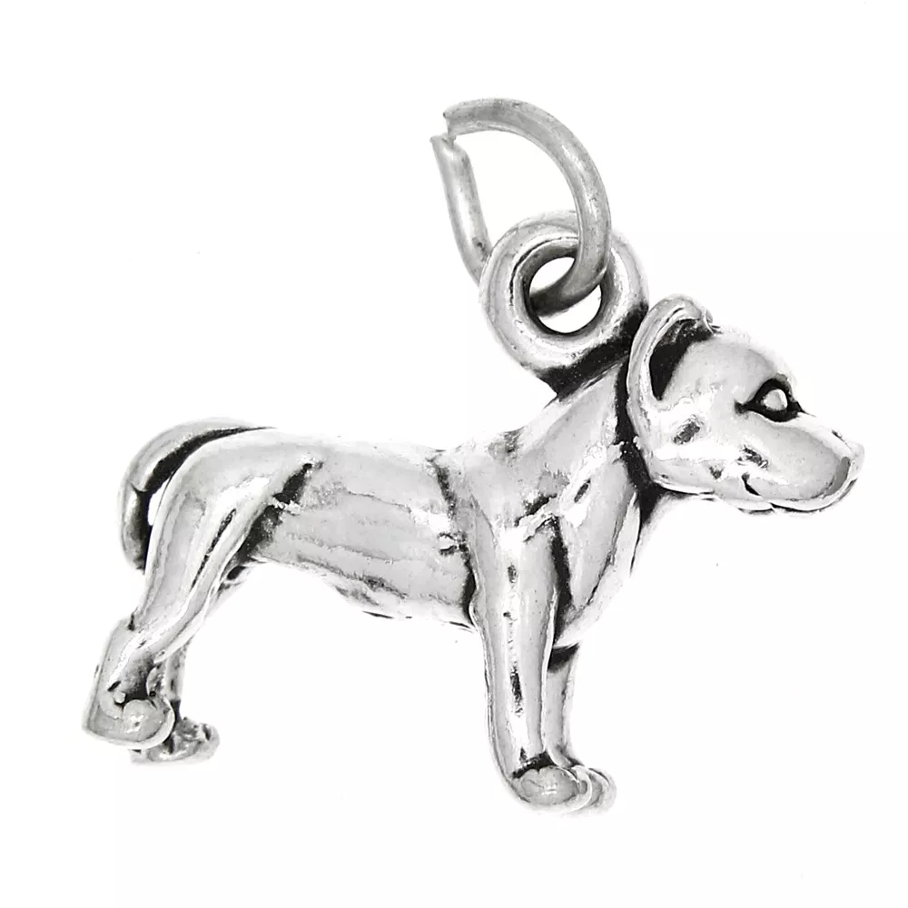 Pitbull clearance pandora charm
