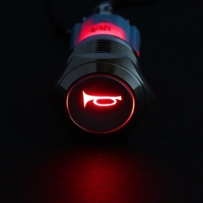 Drucktaster Schalter 12V LED Momentan Hupe Auto Panel Befestigung 16mm