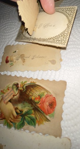Victorian Calling Name Trade Cards Die Cut Decor-Jennie Dutton-Laura Peters - Picture 20 of 22