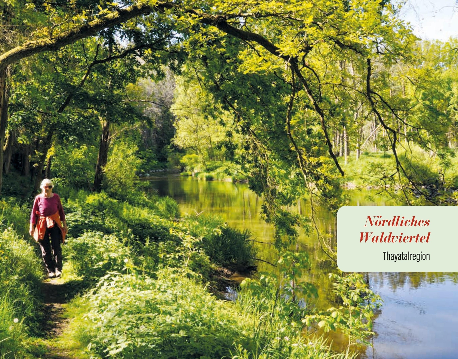 Thumbnail - Wanderbares Waldviertel | Franz Wille | Deutsch | Taschenbuch | 176 S.