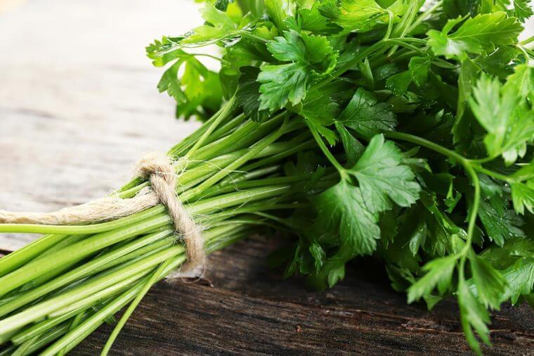 healthy heart supplement ODORLESS GARLIC & PARSLEY 600mg bone