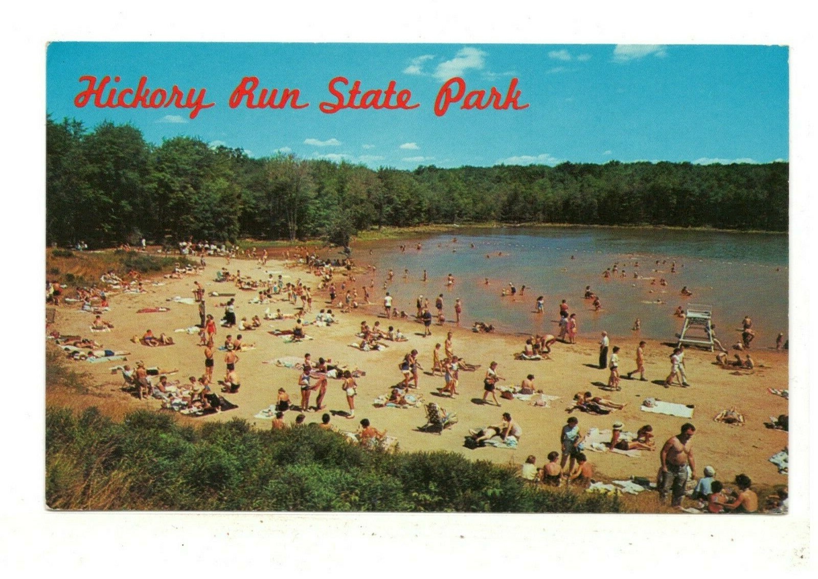 Are Dogs Allowed At Hickory Run State Park