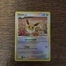 Pokémon Eevee 62/100 Majestic Dawn Reverse Holo Platinum Promo 2008