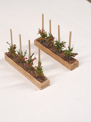 Spur N Garten Schrebergarten Landschaft Tomatenpflanzen in erhöhten Pflanzgefäßen x2