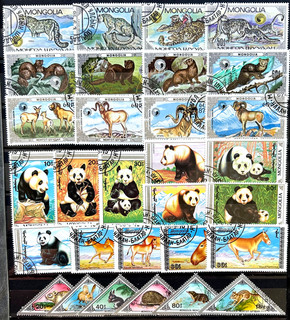 Mongolia. Animali Selvatici Panda Piccola Collezione. Set 6. Usato