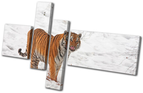 Animals Tiger Wildlife MULTI CANVAS WALL ART Picture Print VA