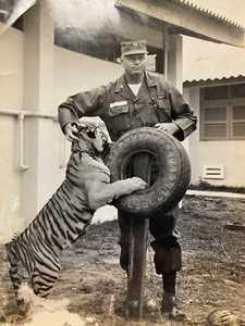 Photos Of Vietnam Soc Trang Tuffy the tiger Ohio Zoo with Soldier
