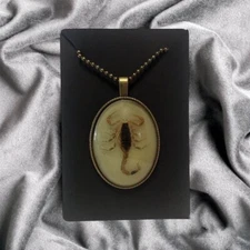 Real Brown Scorpion Necklace - Bronze Pendant - Taxidermy, Grunge, Scorpio, Alt
