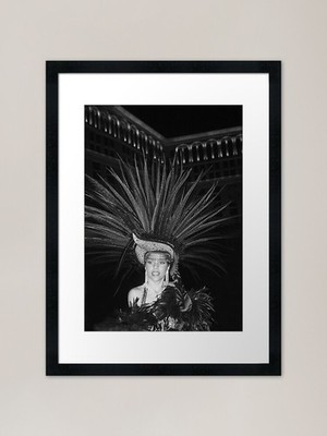 ????? ????? Gotta Luv Those Feather Gerahmtes Wandbild Poster Leinwanddruck Bild