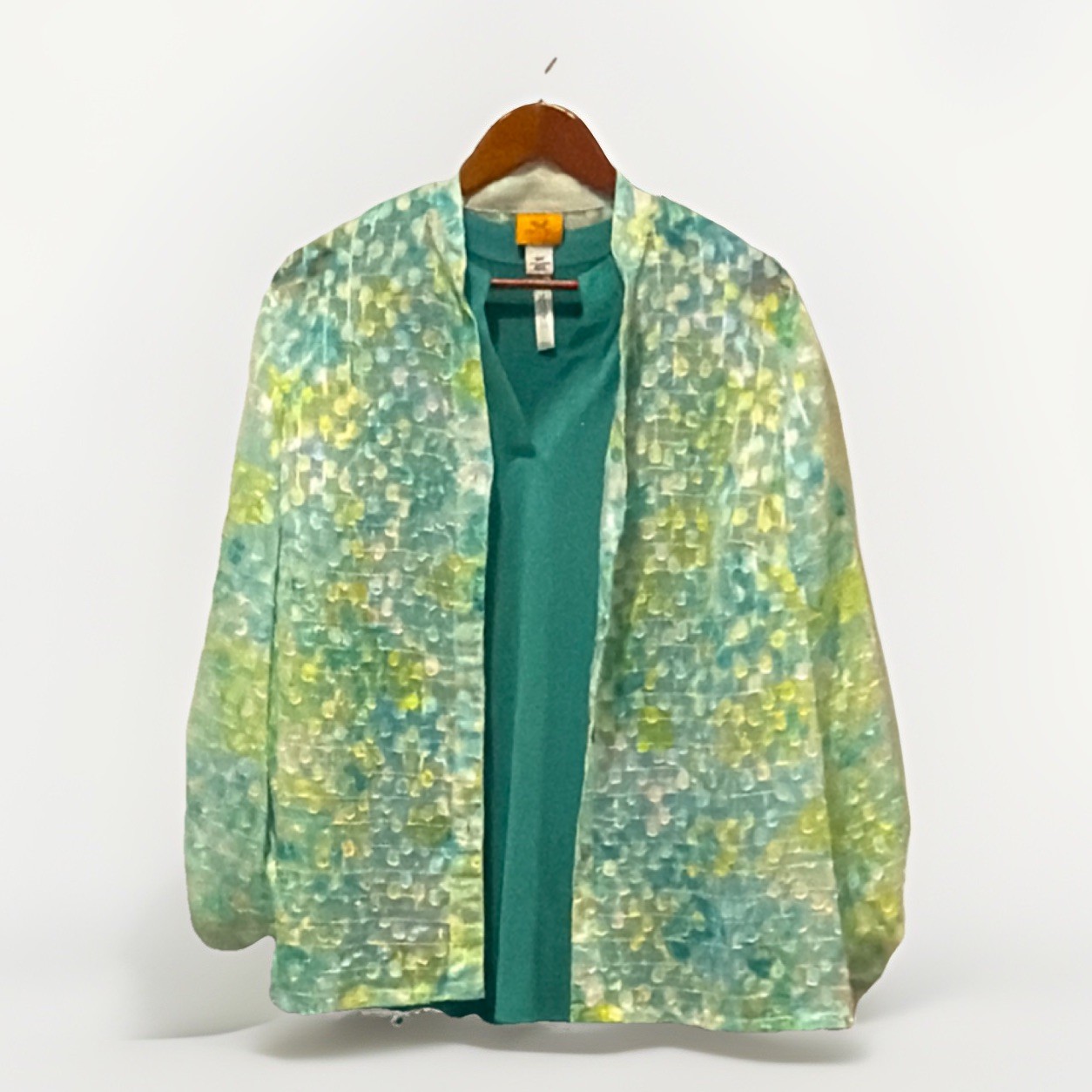 Ruby Rd. 16W Sheer Button Blouse & Dear Scarlett … - image 1