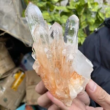 630g Natural White Clear Quartz Crystal Cluster Raw Healing Specimen