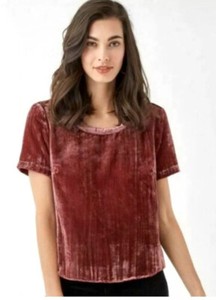 splendid moonstone velvet shirt