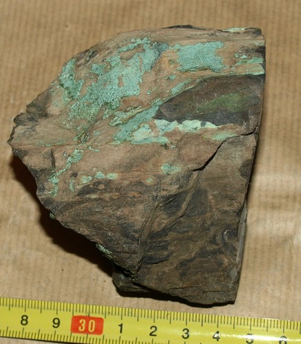 Permian age Petrified Wood, replacement with Azurite and Malachite - Picture 4 of 17