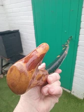 IRISH BLACKTHORN HIKING STAFF 48  INCHS LONG  SUPER ROOTBALL  KNOB HANDLE