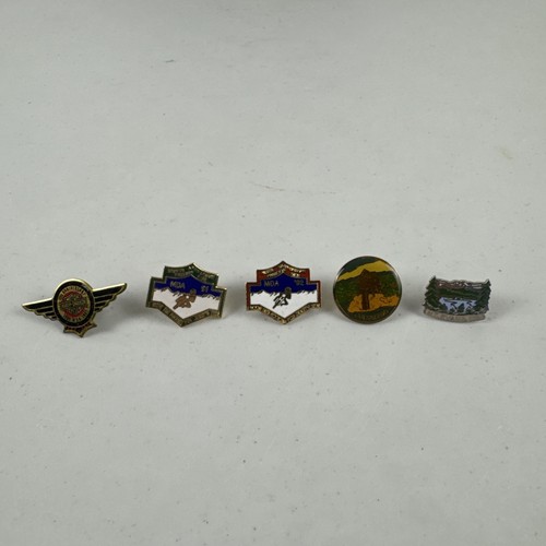 Lot of 5 Lapel Pins Harley Davidson & Colorado 