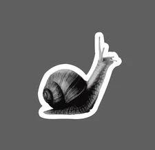 Snail Sticker Black and Gray Waterproof Animal Slow Nature Gift NEW